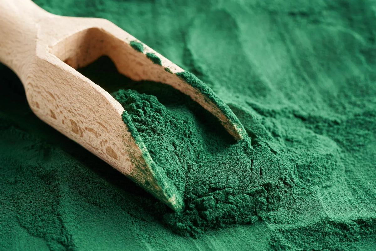 Spiruline : bienfaits, dosage et précautions, que dit la science ?